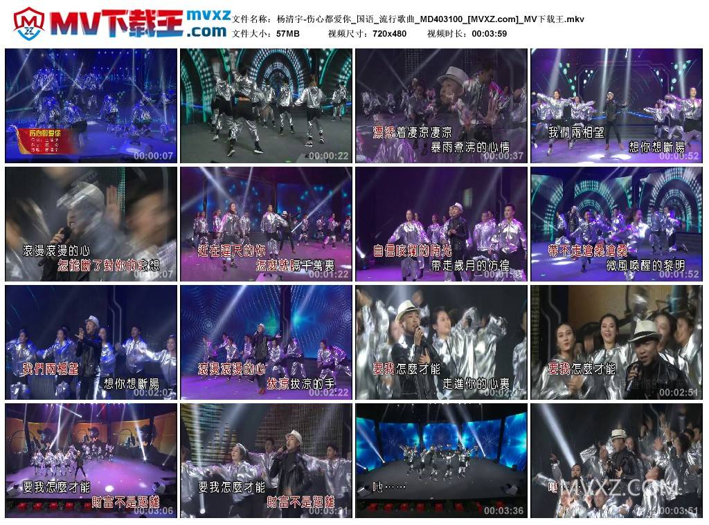 杨清宇-伤心都爱你_国语_流行歌曲_MD403100